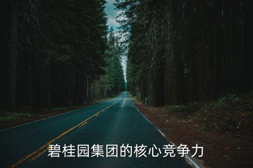 碧桂園集團的核心競爭力