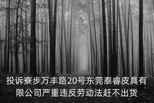 投訴寮步萬豐路20號(hào)東莞泰睿皮具有限公司嚴(yán)重違反勞動(dòng)法趕不出貨
