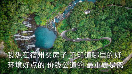 我想在宿州買房子 不知道哪里的好 環(huán)境好點的 價錢公道的 最重要是離