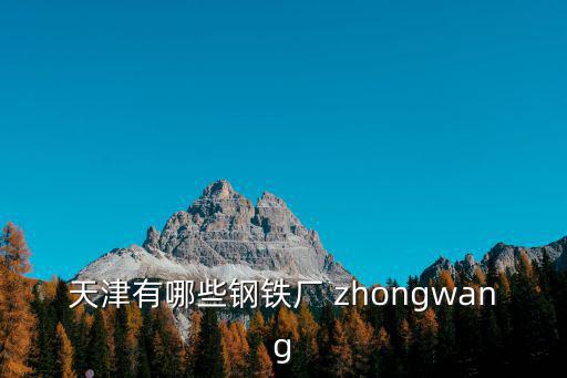 天津有哪些鋼鐵廠 zhongwang