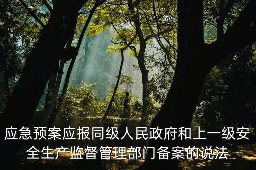 上海市  應(yīng)急預(yù)案管理，應(yīng)急預(yù)案的管理遵循什么原則