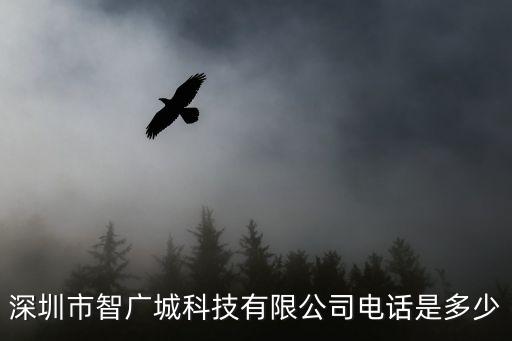 深圳市智廣城科技有限公司電話是多少