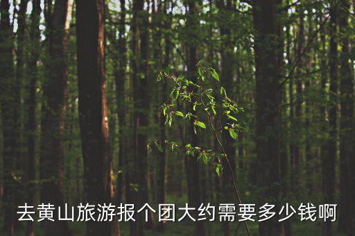 去黃山旅游報個團大約需要多少錢啊