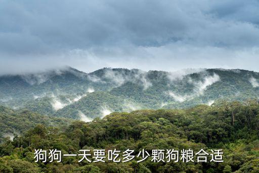 狗狗一天要吃多少顆狗糧合適