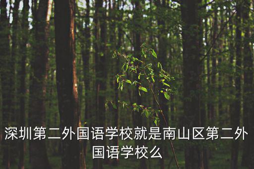 深圳第二外國語學校就是南山區第二外國語學校么