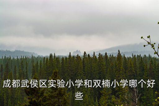 成都武侯區實驗小學和雙楠小學哪個好些