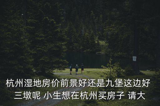 杭州濕地房價前景好還是九堡這邊好 三墩呢 小生想在杭州買房子 請大