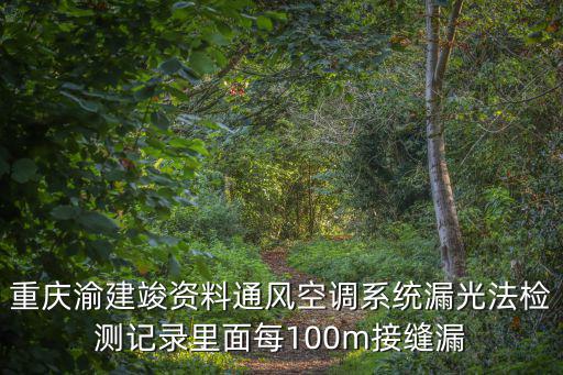 重慶渝建竣資料通風空調系統漏光法檢測記錄里面每100m接縫漏