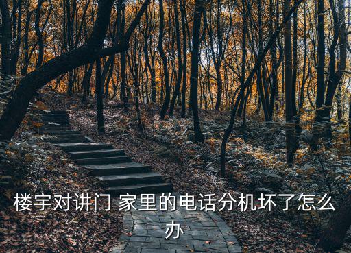 樓宇對講門 家里的電話分機壞了怎么辦