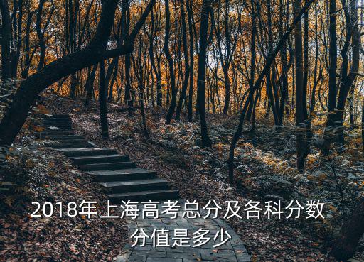 2018年上海市高考方案，2018年上海高考總分及各科分數 分值是多少