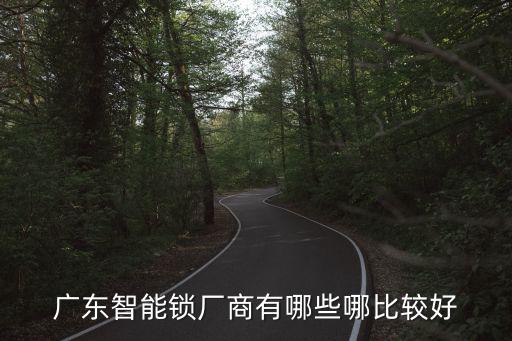 廣東智能鎖廠商有哪些哪比較好