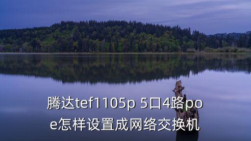 騰達tef1105p 5口4路poe怎樣設置成網絡交換機