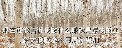如何賺錢比房價快，現(xiàn)在誰能告訴我做什么賺錢是最快的工資太低啦漲不贏房價更加