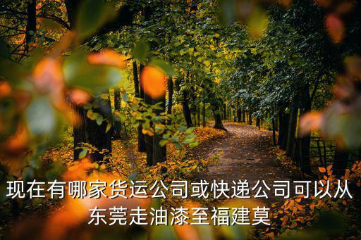現在有哪家貨運公司或快遞公司可以從東莞走油漆至福建莫