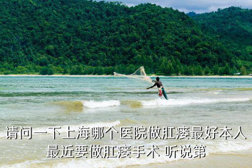 請問一下上海哪個醫院做肛瘺最好本人最近要做肛瘺手術 聽說第