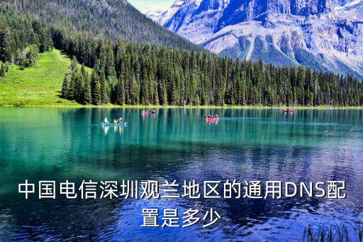 中國(guó)電信深圳觀蘭地區(qū)的通用DNS配置是多少