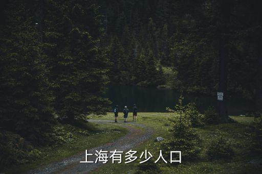 上海市有多少人囗，上海市的人口有多少