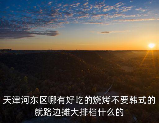 天津市河?xùn)|區(qū)哪家烤串最好，天津河?xùn)|區(qū)哪的燒烤最好
