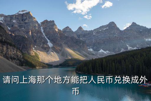 請問上海那個地方能把人民幣兌換成外幣
