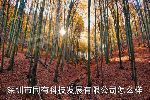 深圳市同有科技發展有限公司怎么樣
