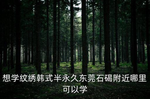 想學(xué)紋繡韓式半永久東莞石碣附近哪里可以學(xué)