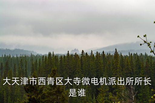 大天津市西青區大寺微電機派出所所長是誰