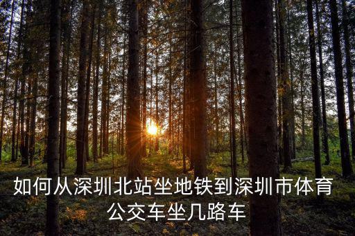深圳北站坐什么車到8號倉，深圳北站到深圳南山區蛇口愛榕路8號怎么坐車
