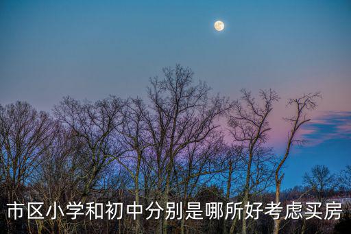 市區(qū)小學(xué)和初中分別是哪所好考慮買房