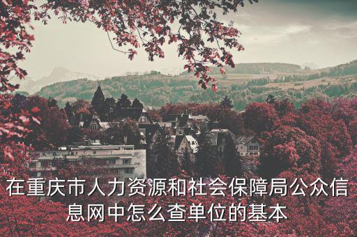 重慶市人力資源和社會公共信息，在重慶市人力資源和社會保障局公眾信息網中怎么查單位的基本