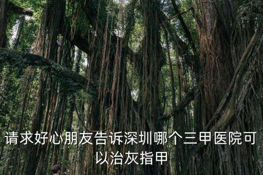 請求好心朋友告訴深圳哪個三甲醫院可以治灰指甲