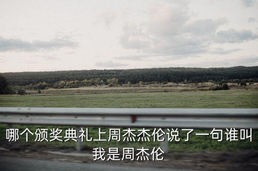 哪個頒獎典禮上周杰杰倫說了一句誰叫我是周杰倫