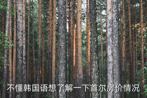 不懂韓國語想了解一下首爾房價情況