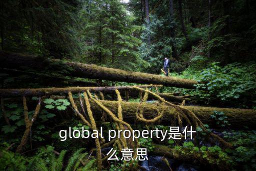 global property是什么意思
