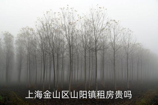 上海金山區山陽鎮租房貴嗎