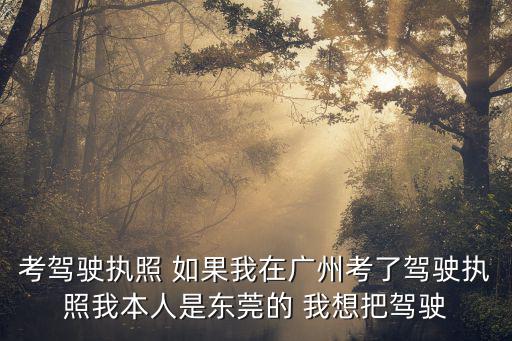 考駕駛執(zhí)照 如果我在廣州考了駕駛執(zhí)照我本人是東莞的 我想把駕駛