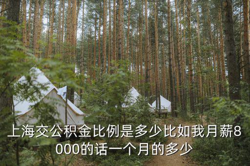 上海市住房公積金匯繳比率，上海地區(qū)五險(xiǎn)一金個(gè)人交百分之多少