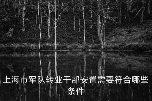 上海市副市長將軍轉業，上海市軍隊轉業干部安置需要符合哪些條件
