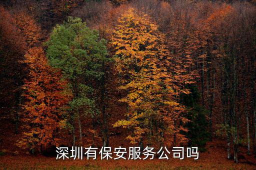 深圳有保安服務公司嗎