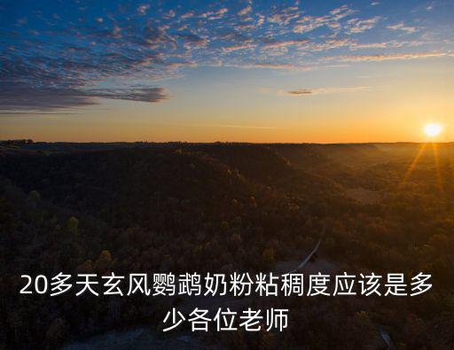 20多天玄風(fēng)鸚鵡奶粉粘稠度應(yīng)該是多少各位老師