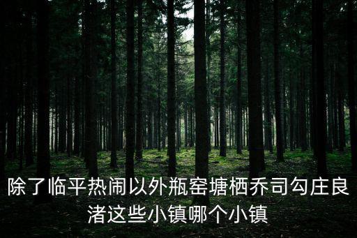 除了臨平熱鬧以外瓶窯塘棲喬司勾莊良渚這些小鎮哪個小鎮