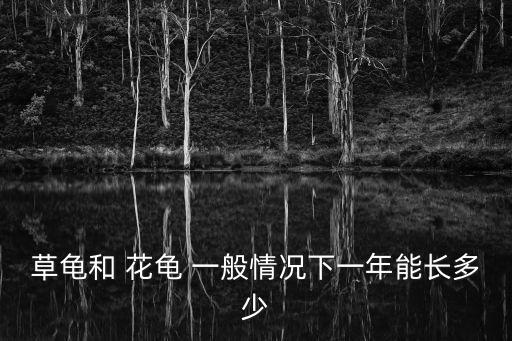 草龜和 花龜 一般情況下一年能長多少