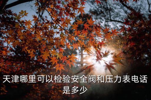 天津哪里可以檢驗安全閥和壓力表電話是多少