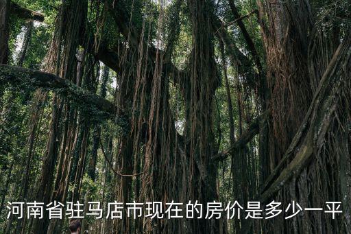 河南省駐馬店市現在的房價是多少一平