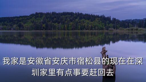 宿松縣回深圳的順風車，2010年8月25號或26號深圳西到宿松1506車次還有沒有座位