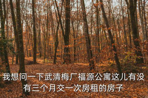我想問一下武清梅廠福源公寓這兒有沒有三個月交一次房租的房子