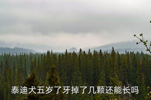 泰迪換牙后還能長多少，泰迪熊換牙后還會長大嗎