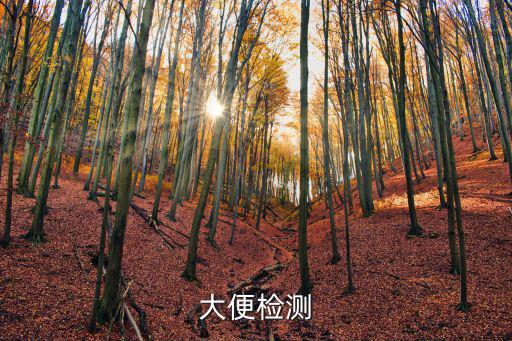大便檢測