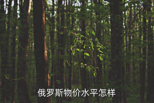 俄羅斯物價水平怎樣