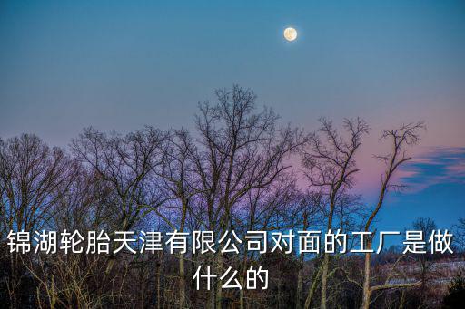 錦湖輪胎天津有限公司對面的工廠是做什么的