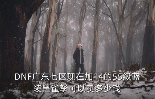 DNF廣東七區現在加14的55級藍裝黑雀孥可以賣多少錢